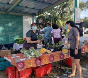 Colmena Cimarrona Market