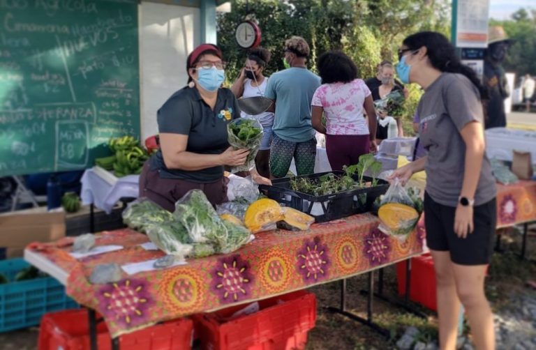 Colmena Cimarrona Market